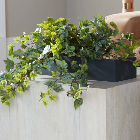 Linear Ivy with Stone Product Tile Hover Image 443739