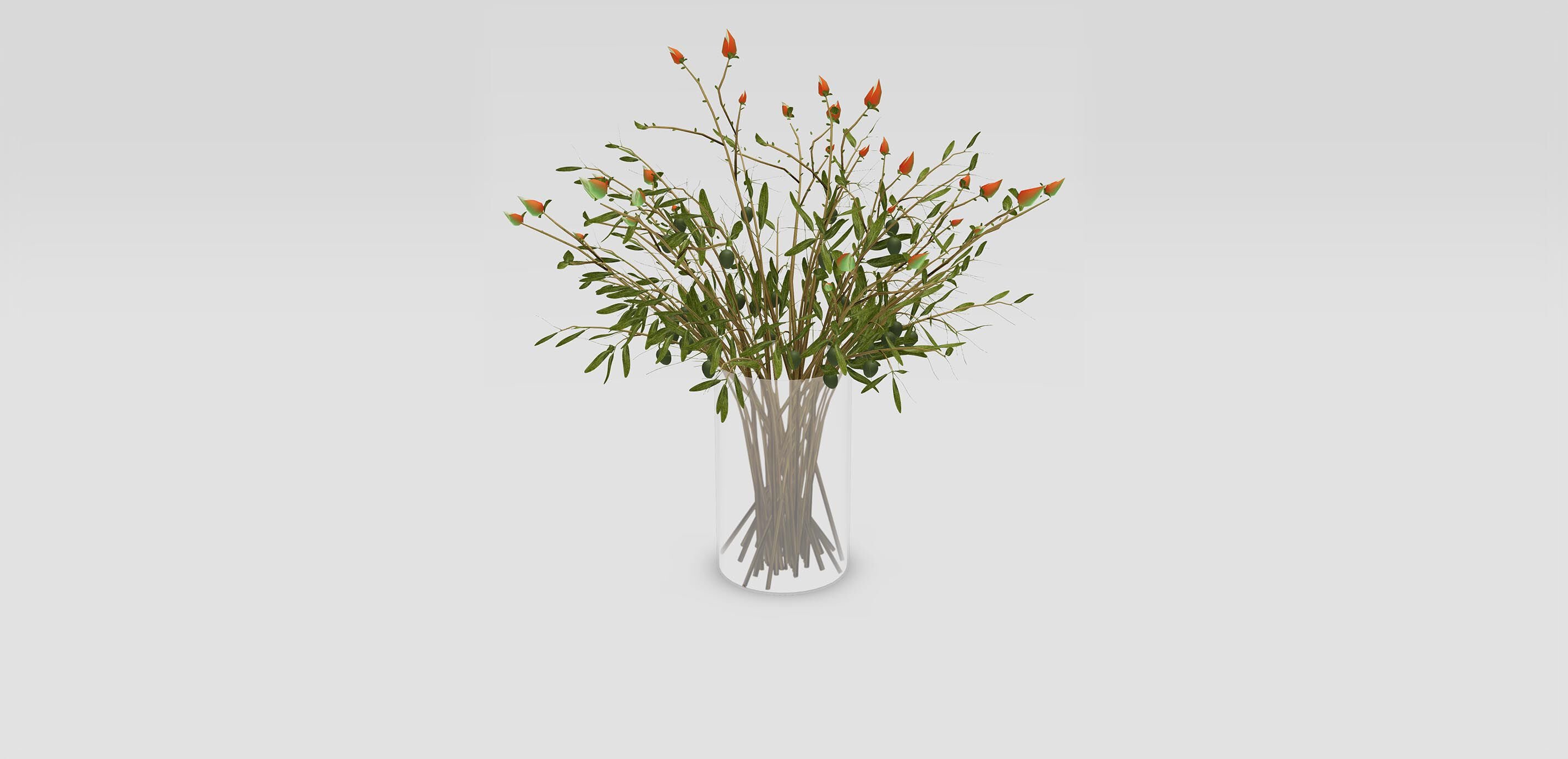 Olive Leaf and Magnolia Bud Mix 1