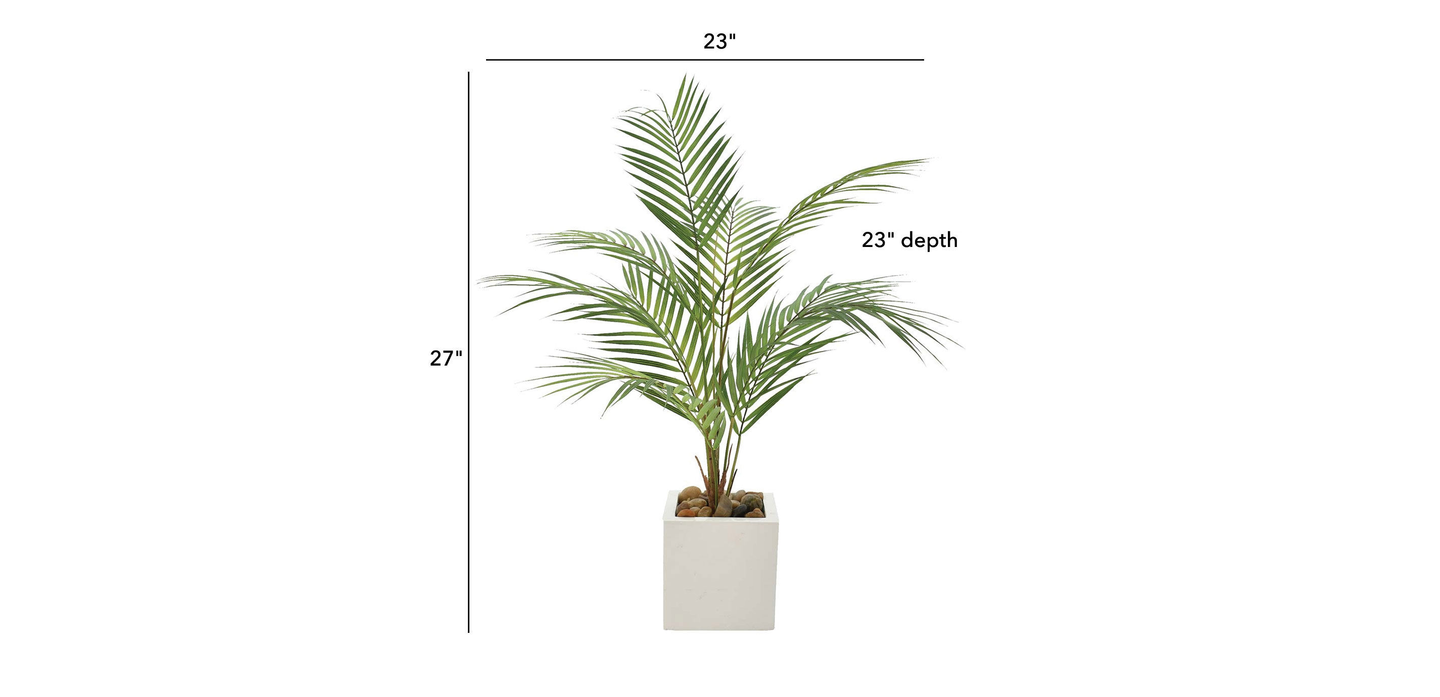Palm in Square White Pot_1