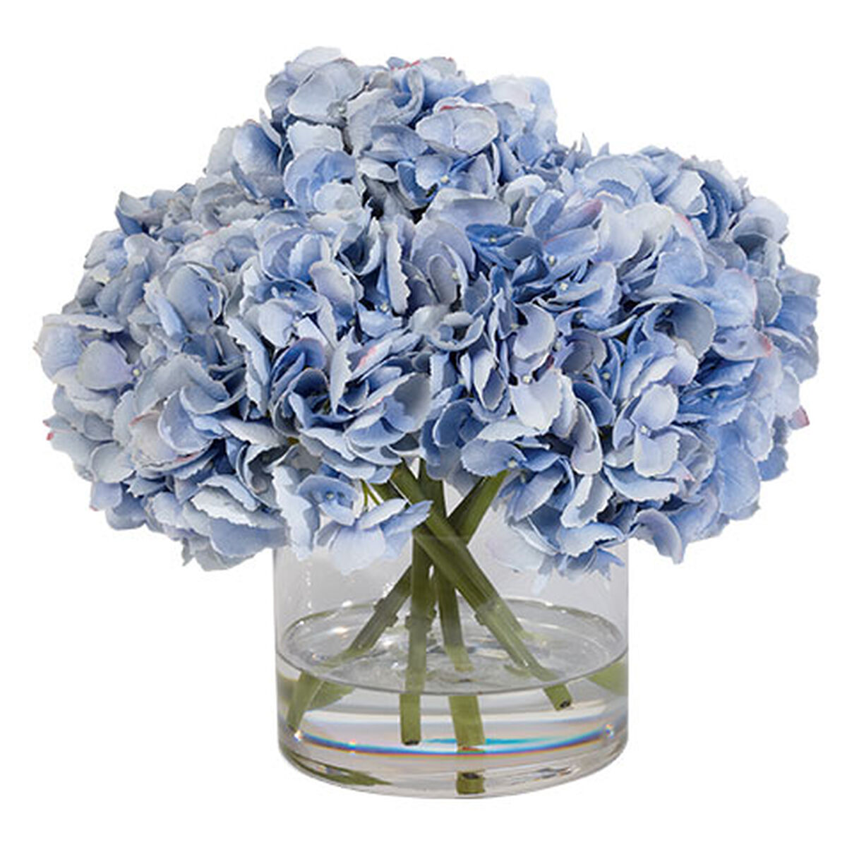 Hydrangea Water Garden