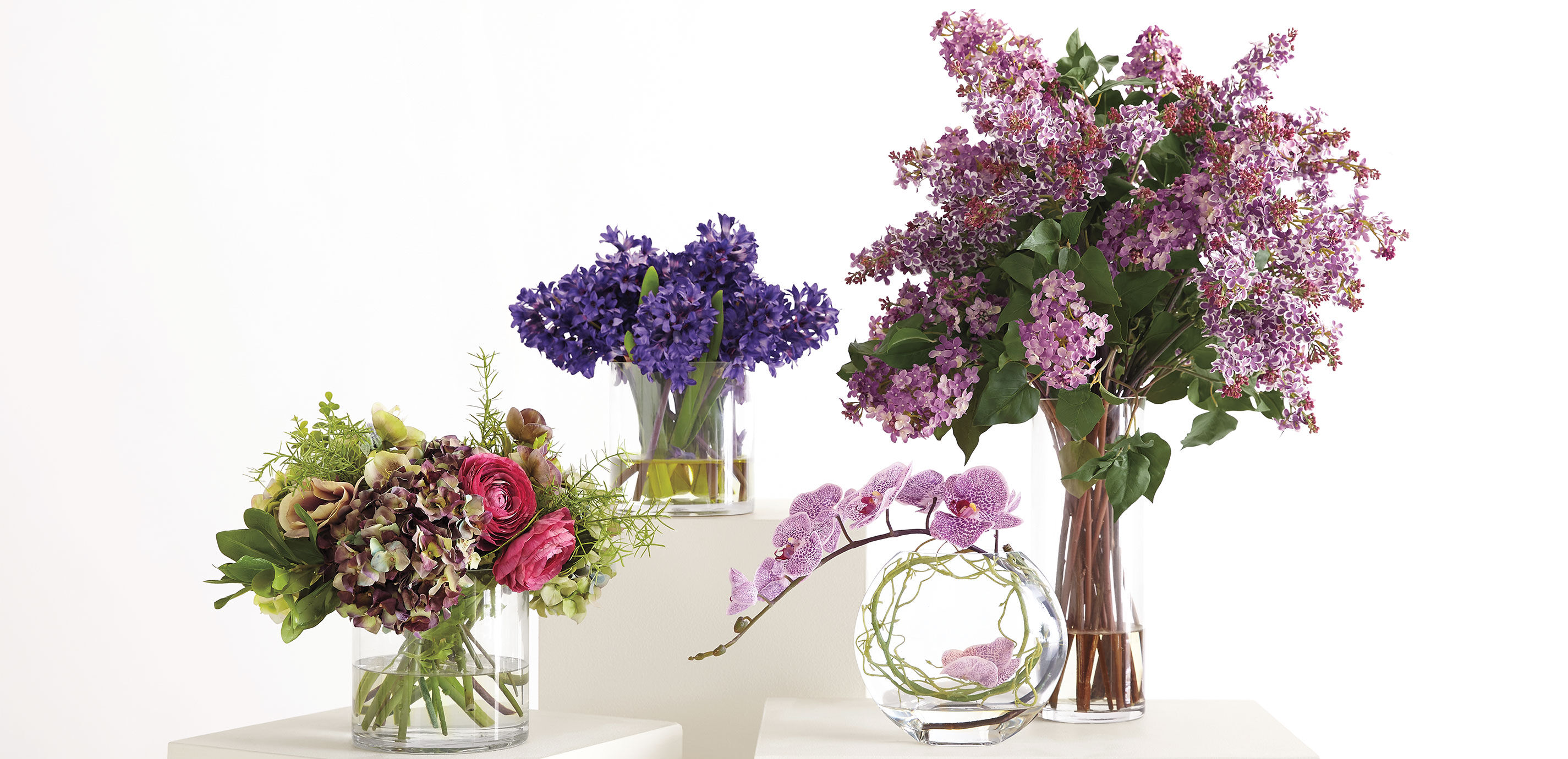 Plum Orchid in Glass Vase_2