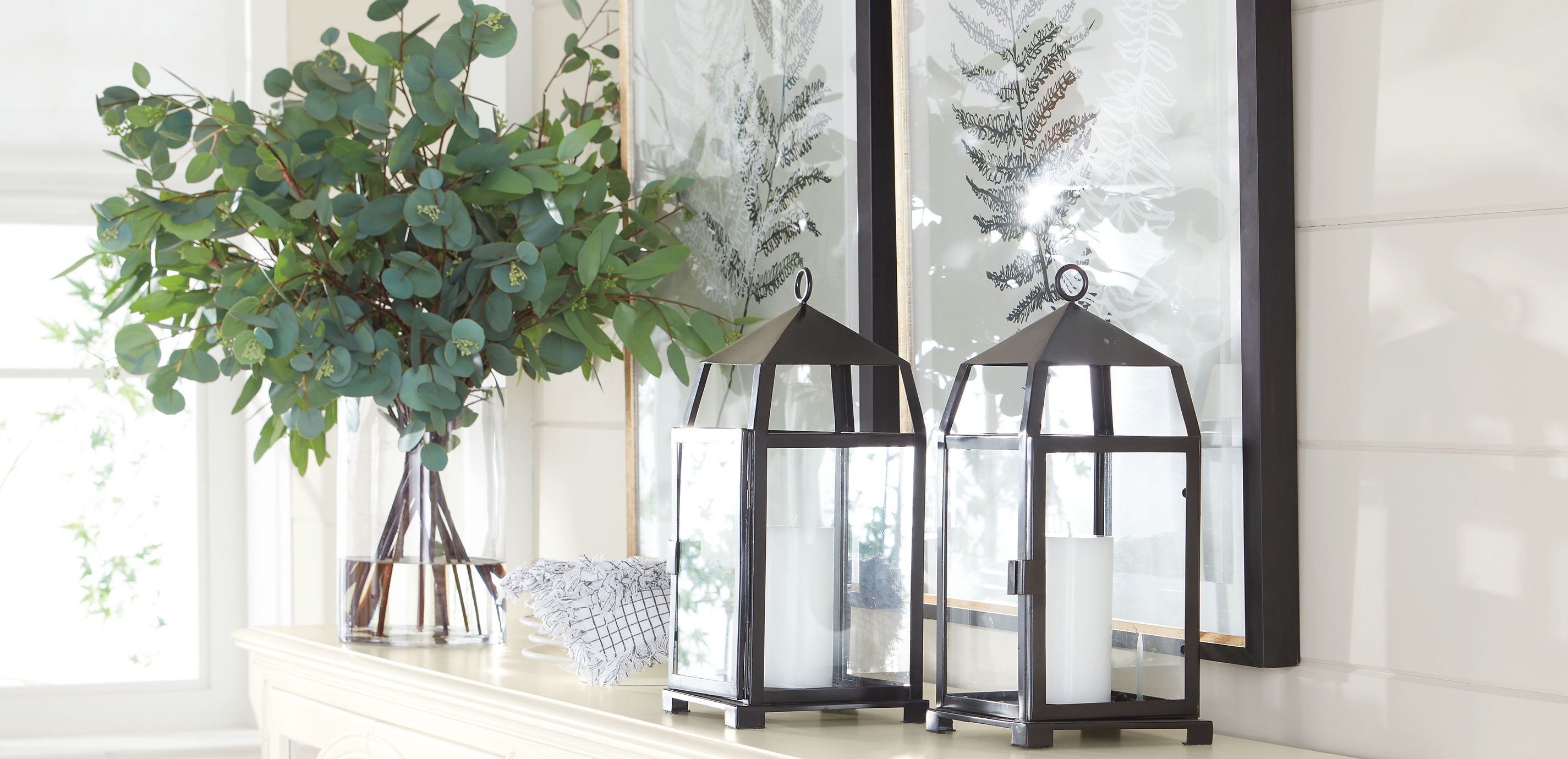 Eucalyptus in Cylinder Vase_4