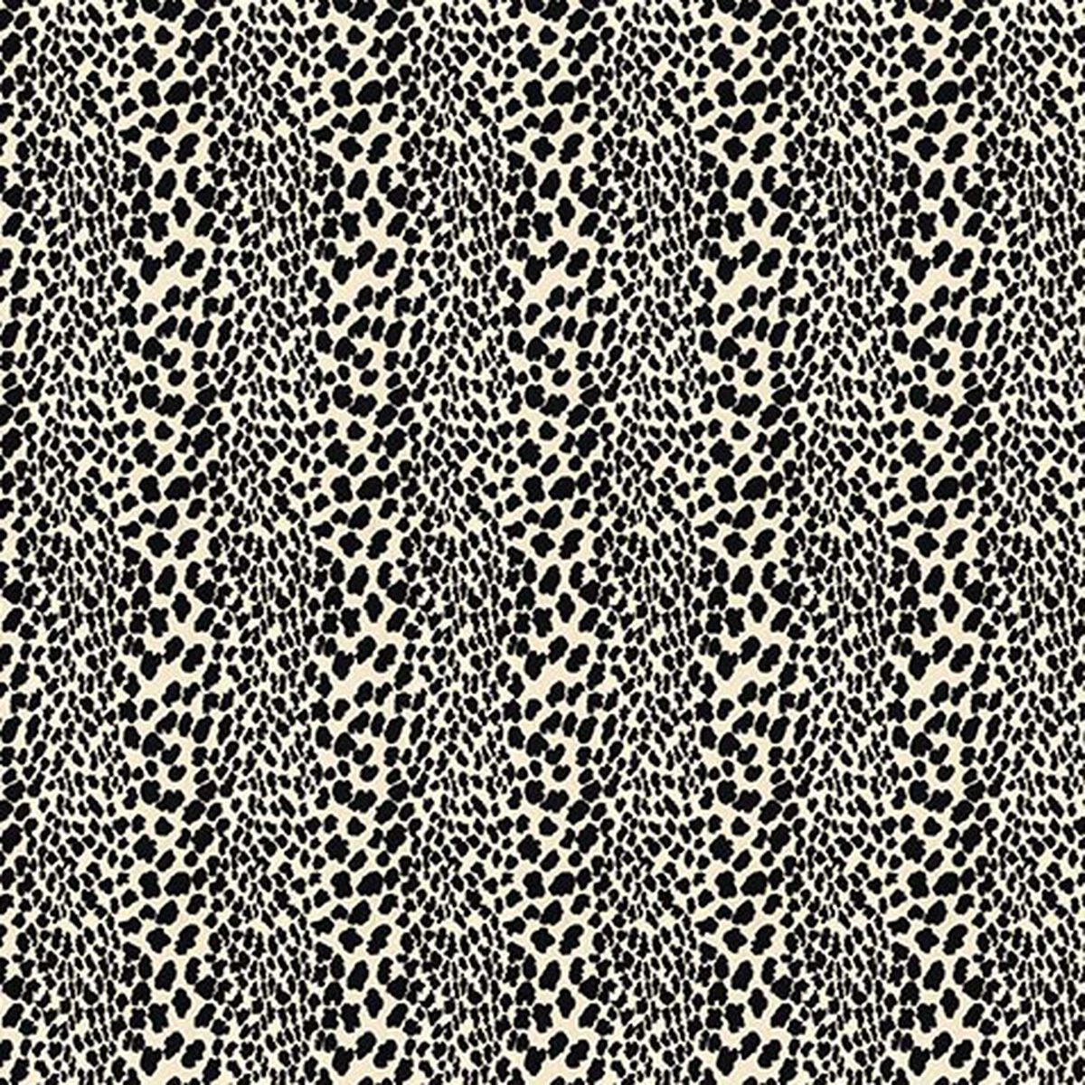 Congo Fabric