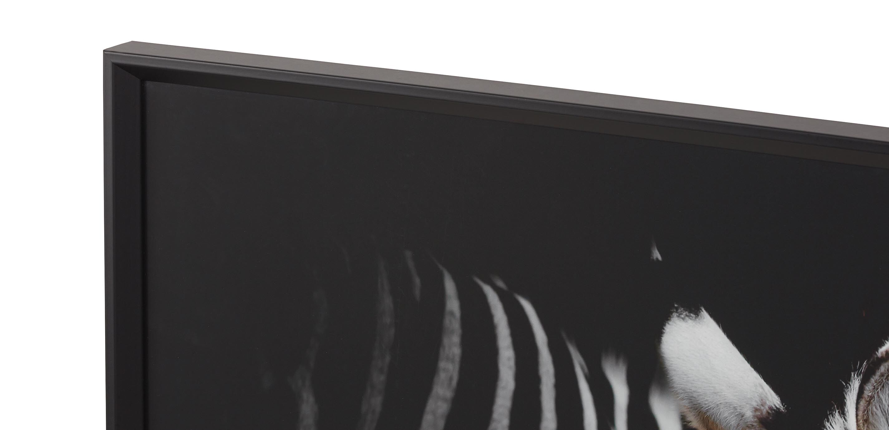 Strayed into Shadow II_2