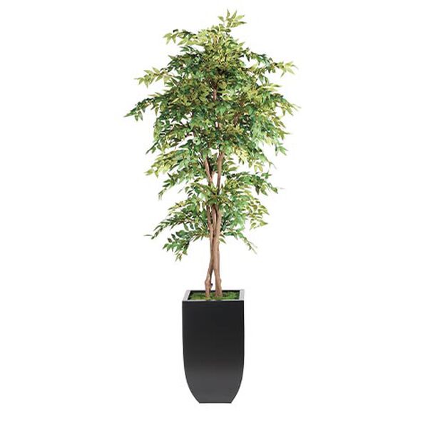 Smilax Tree in Metal Container