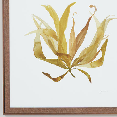 Soft Seaweed Product Tile Hover Image 073261D