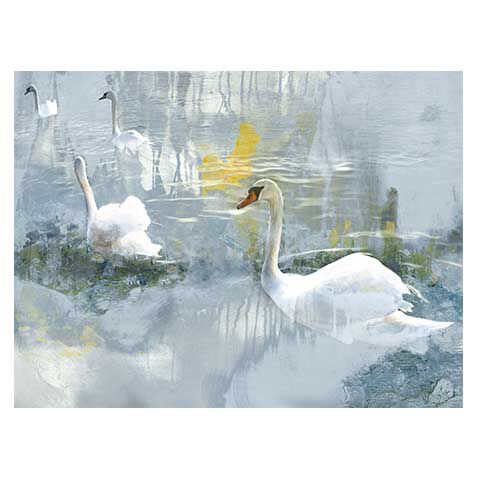 Painted Swans image