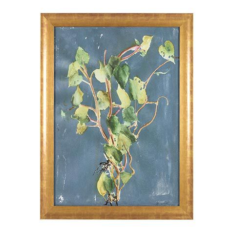 Vigorous Vine image 073273A
