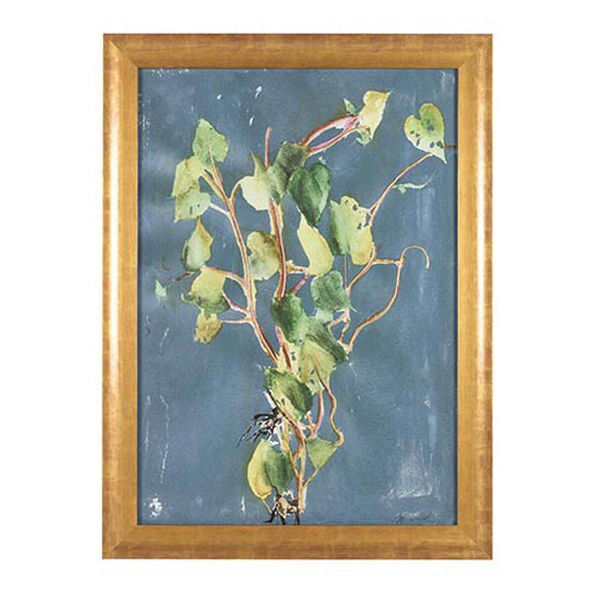 Vigorous Vine