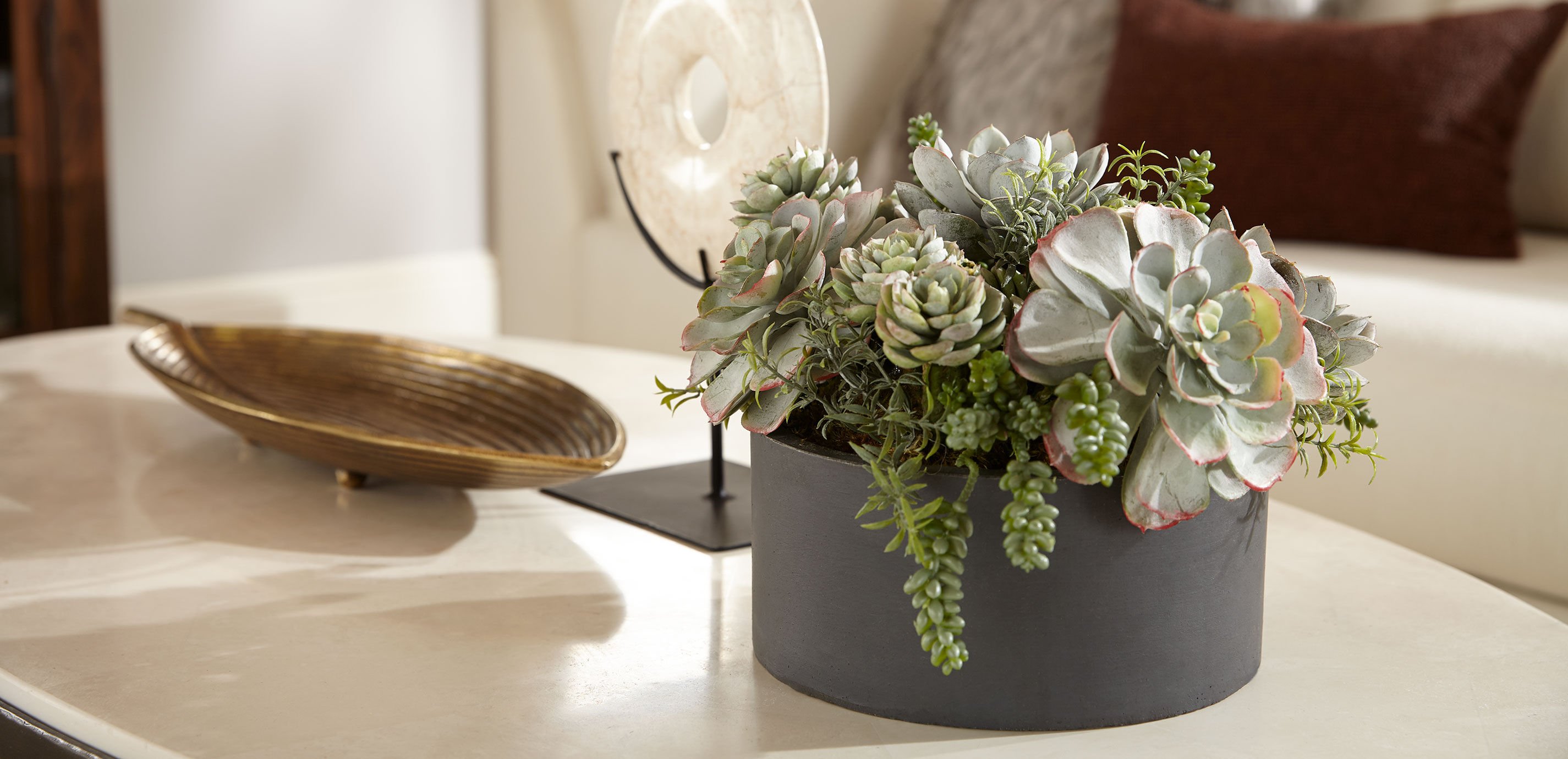 Mixed Succulents in Round Tray_2