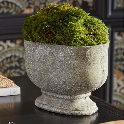 Moss in Oval Stone Planter Product Tile Hover Image 443741