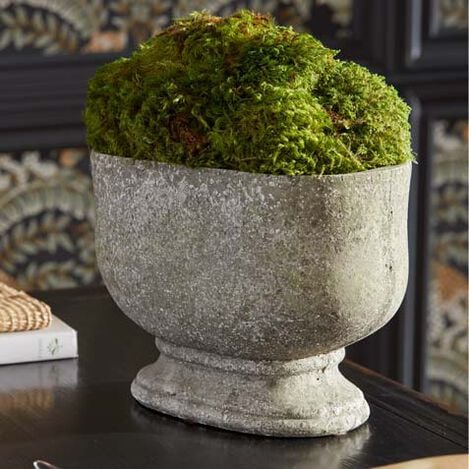 Moss in Oval Stone Planter