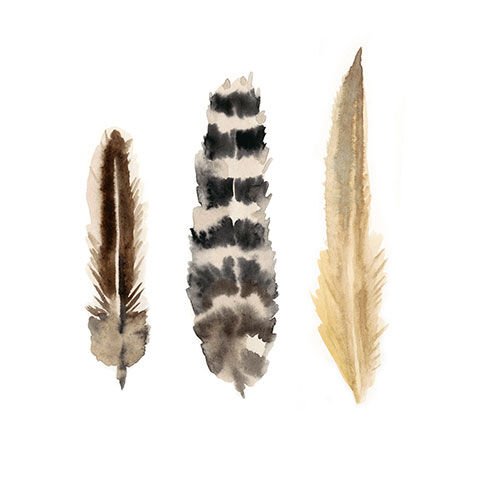 Watercolor Plumes II image