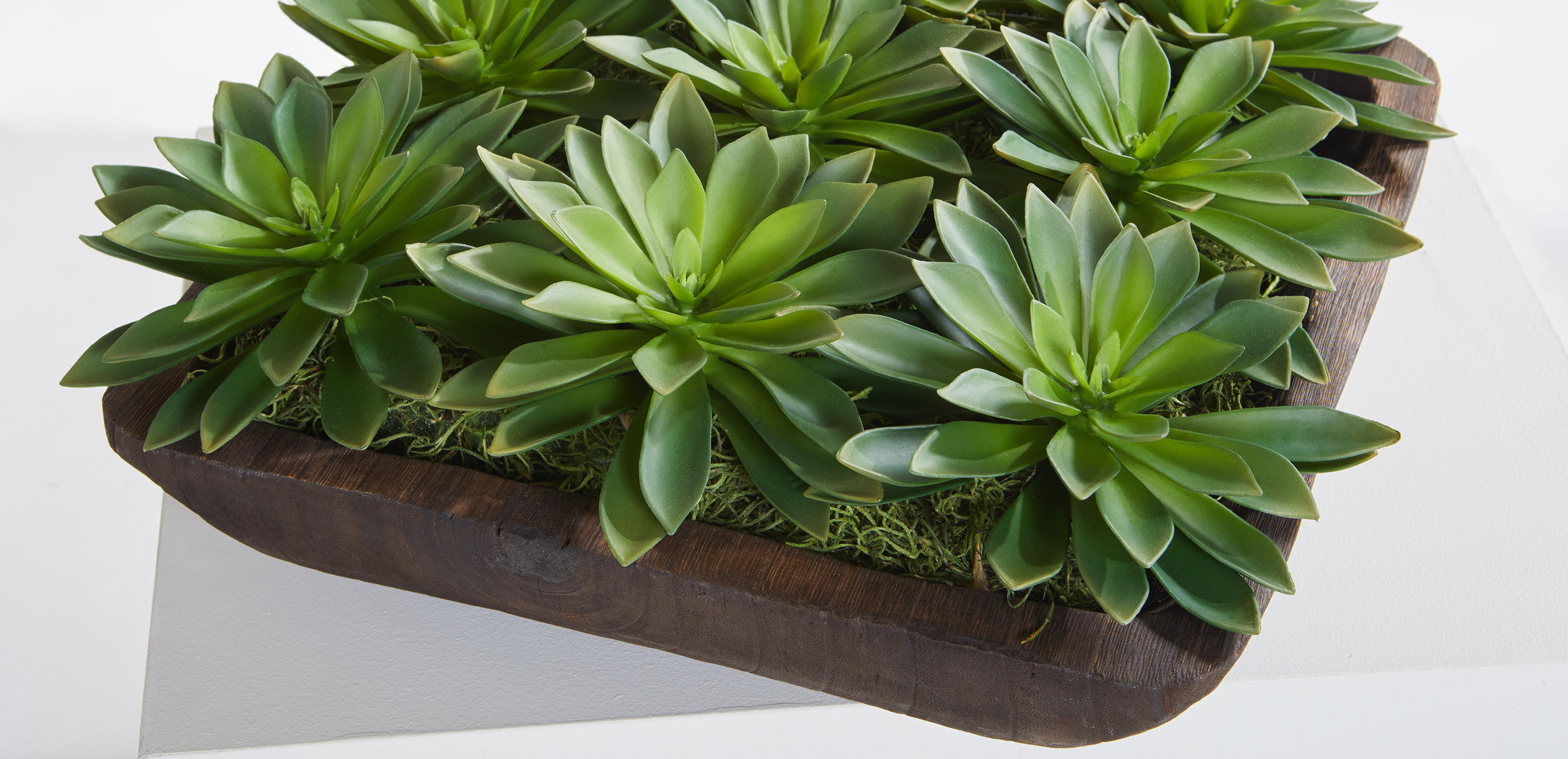 Succulent Centerpiece in Dark Wood Bowl_5