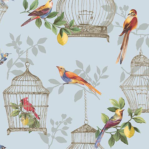 Birdcage Wallpaper image
