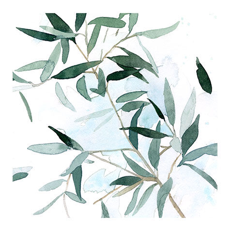 Serene Eucalyptus I image