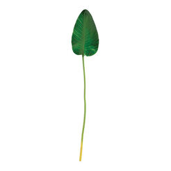 33" Banana Leaf (set of 2) Recommended Product