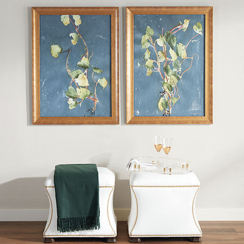 Vigorous Vine Product Tile Hover Image 073273B