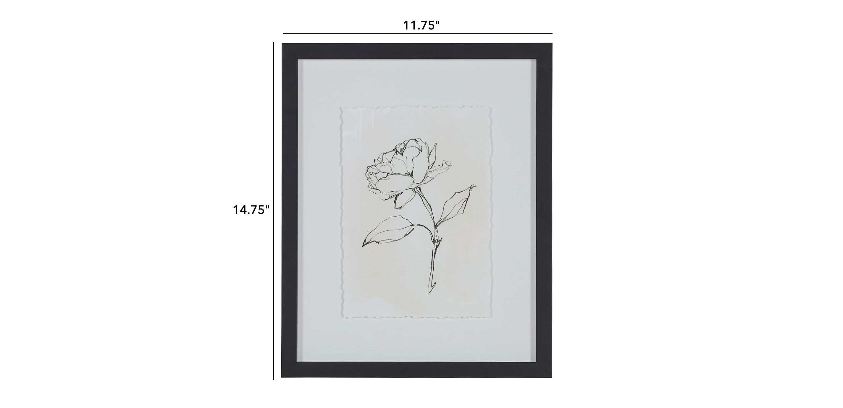 Floral Contour Study II_1