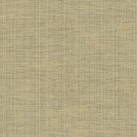 Century Wallpaper image