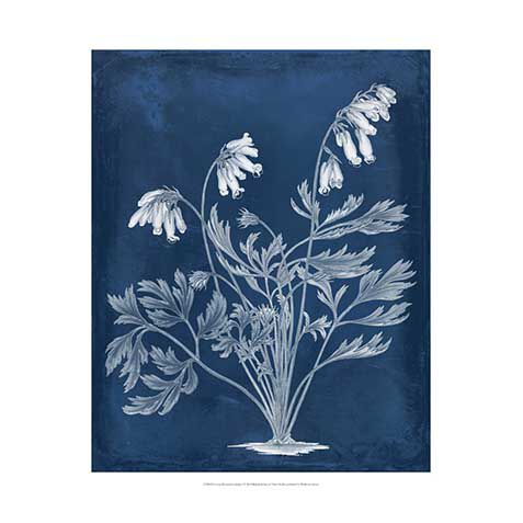 Botanical In Indigo I image
