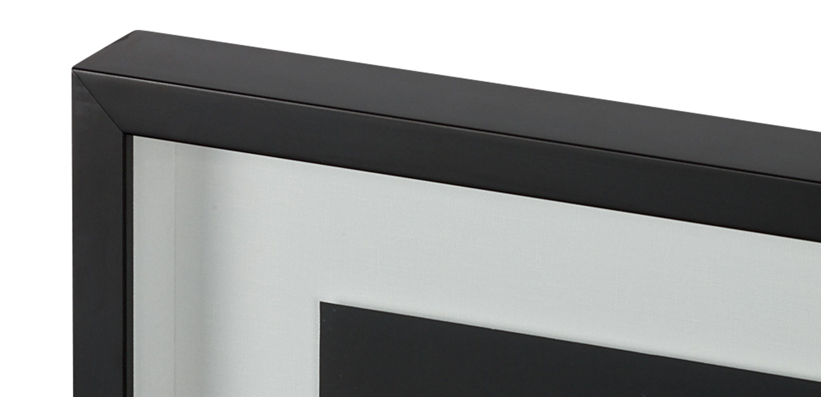 Black Botanical III_1