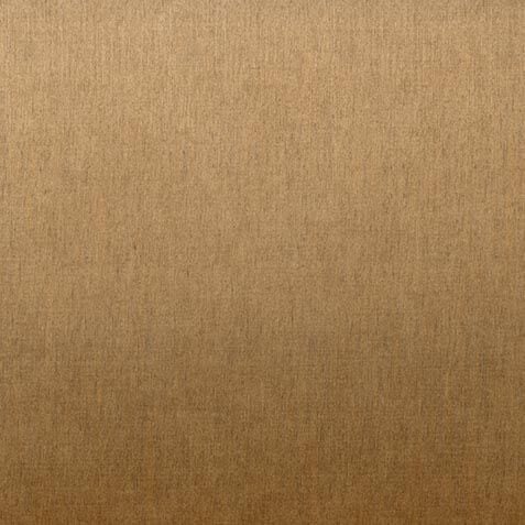 Goldtone (193) Finish Sample image 9824NS      193