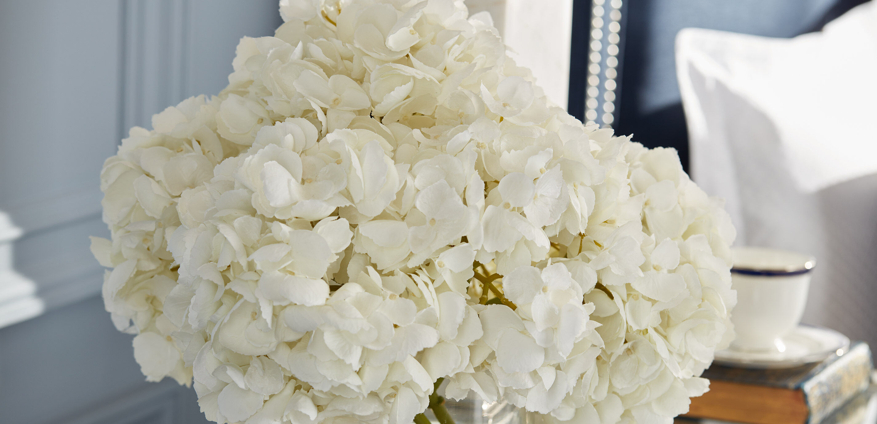 White Hydrangea Watergarden_2