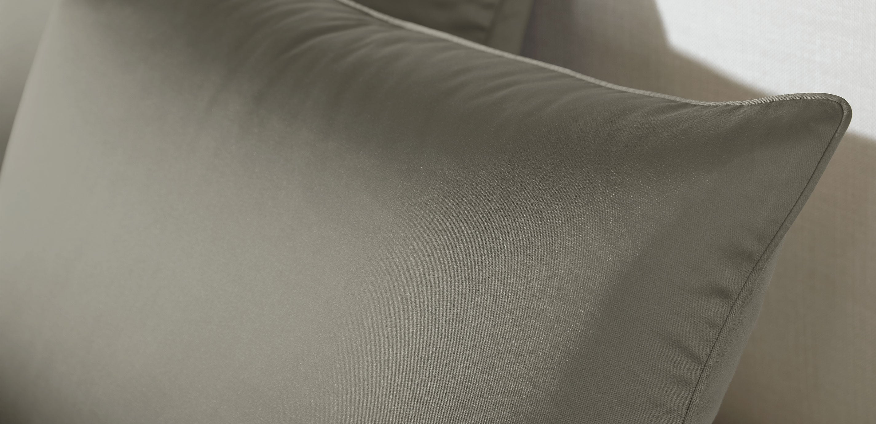 Salena Solid Euro Sham, Eucalyptus_1