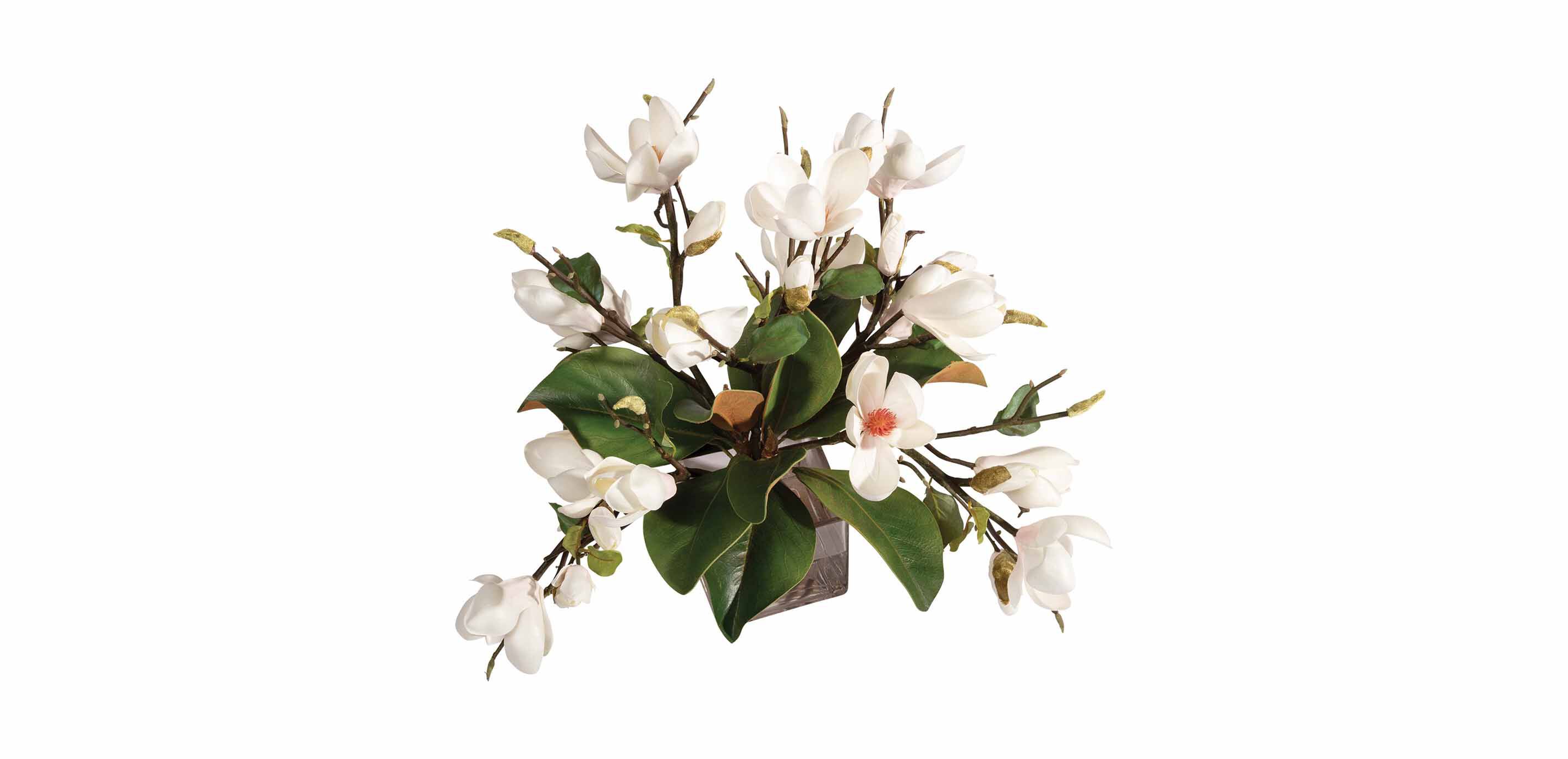 Magnolia Foliage Watergarden in Glass Cube_3