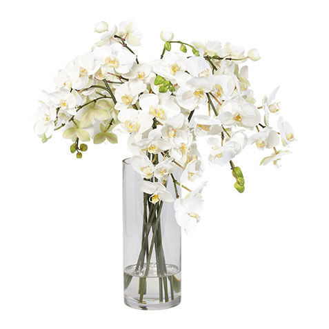 Orchids in Tall Glass Vase image