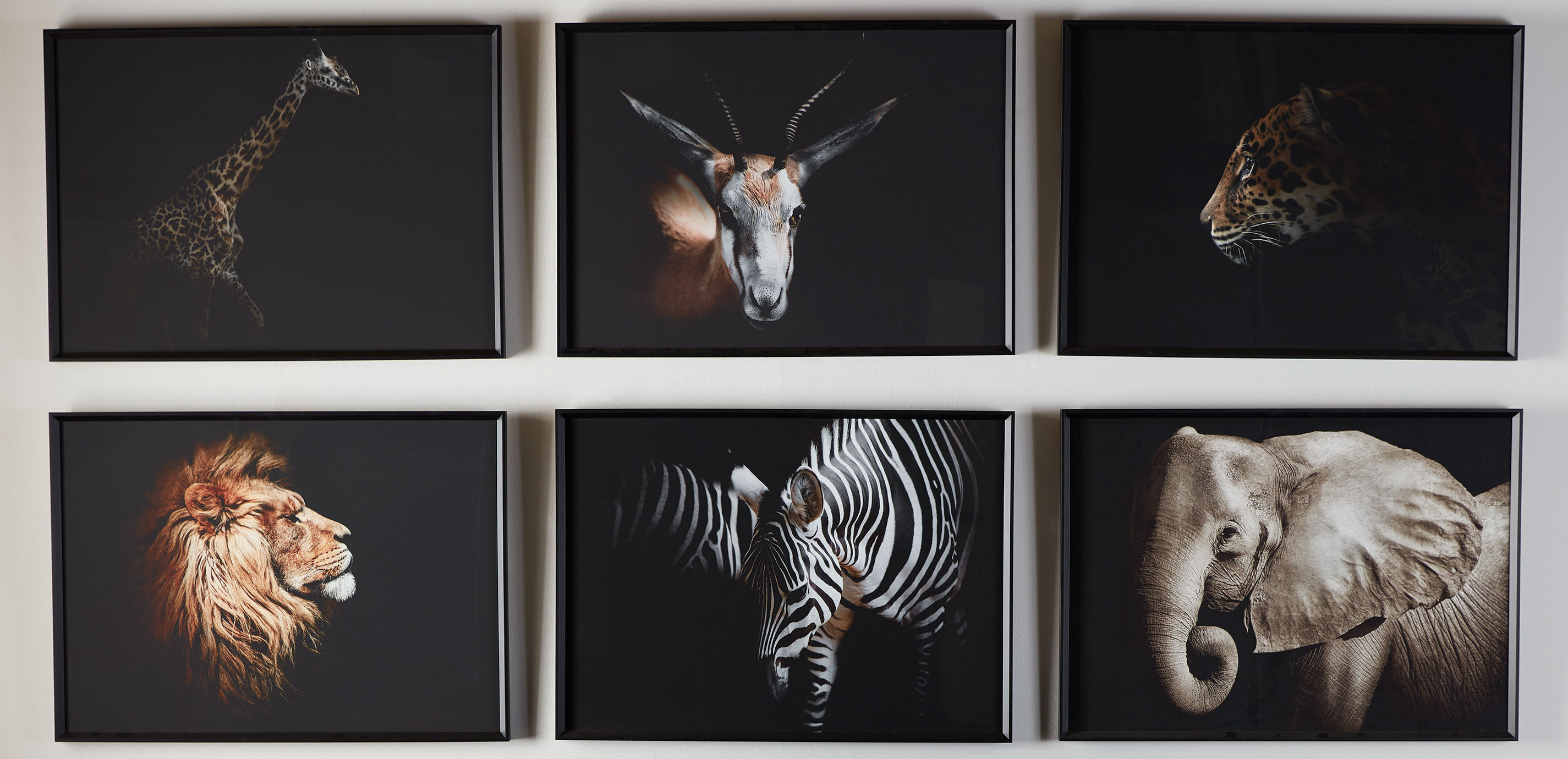 Strayed into Shadow V_3