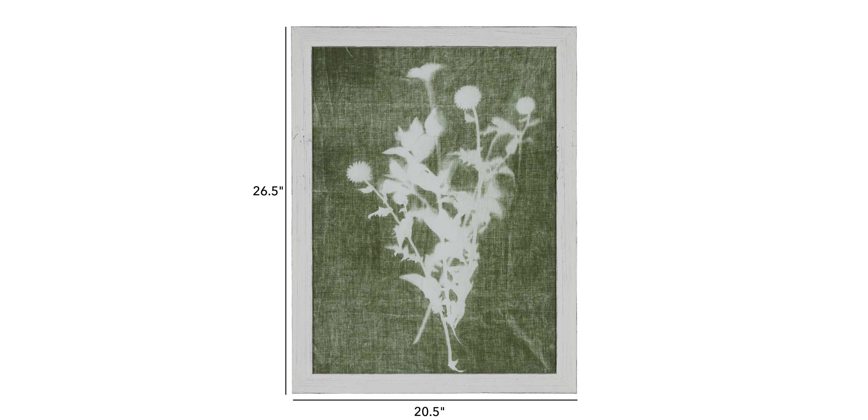 Sage Silhouette II_1