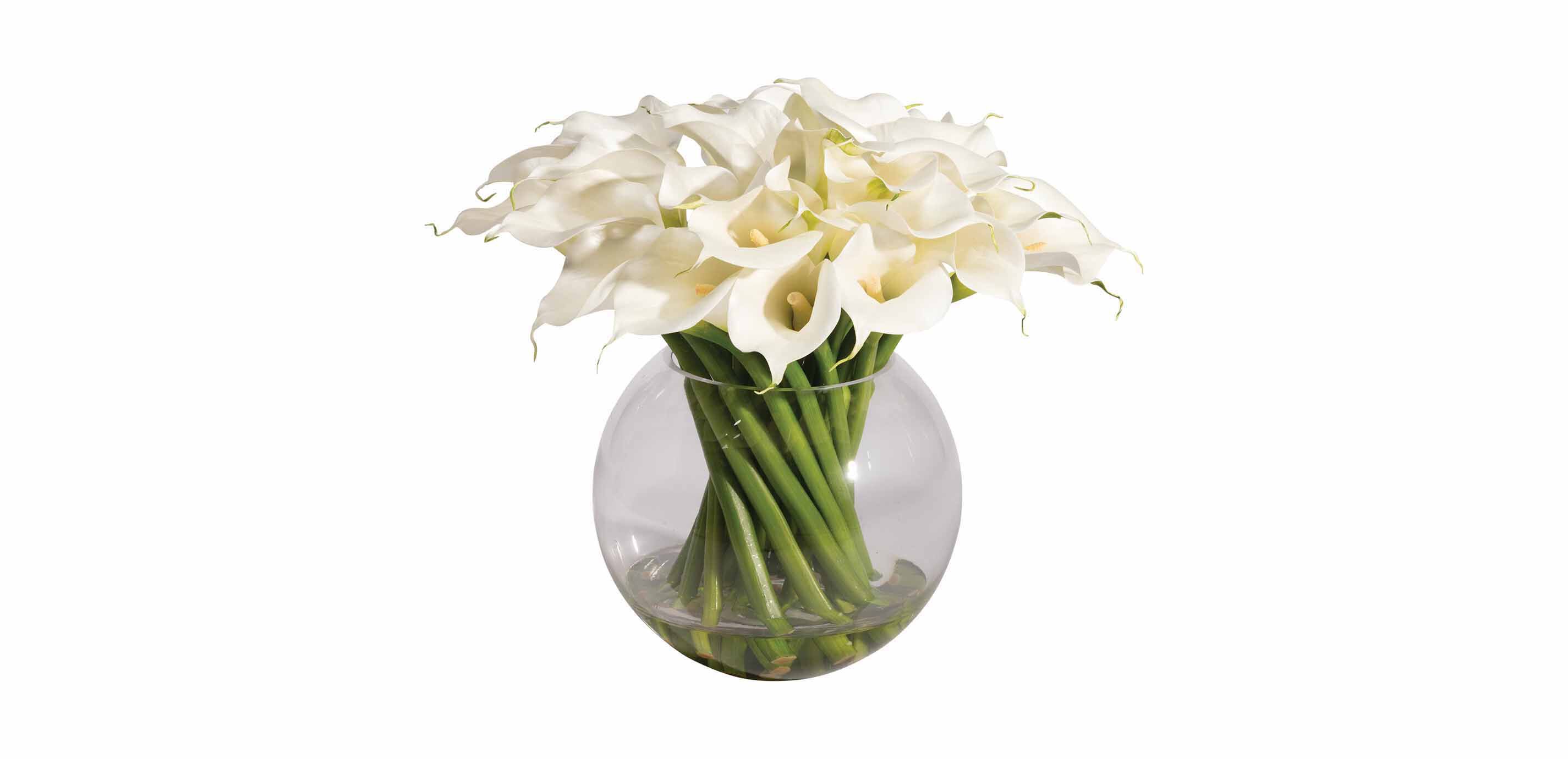 calla