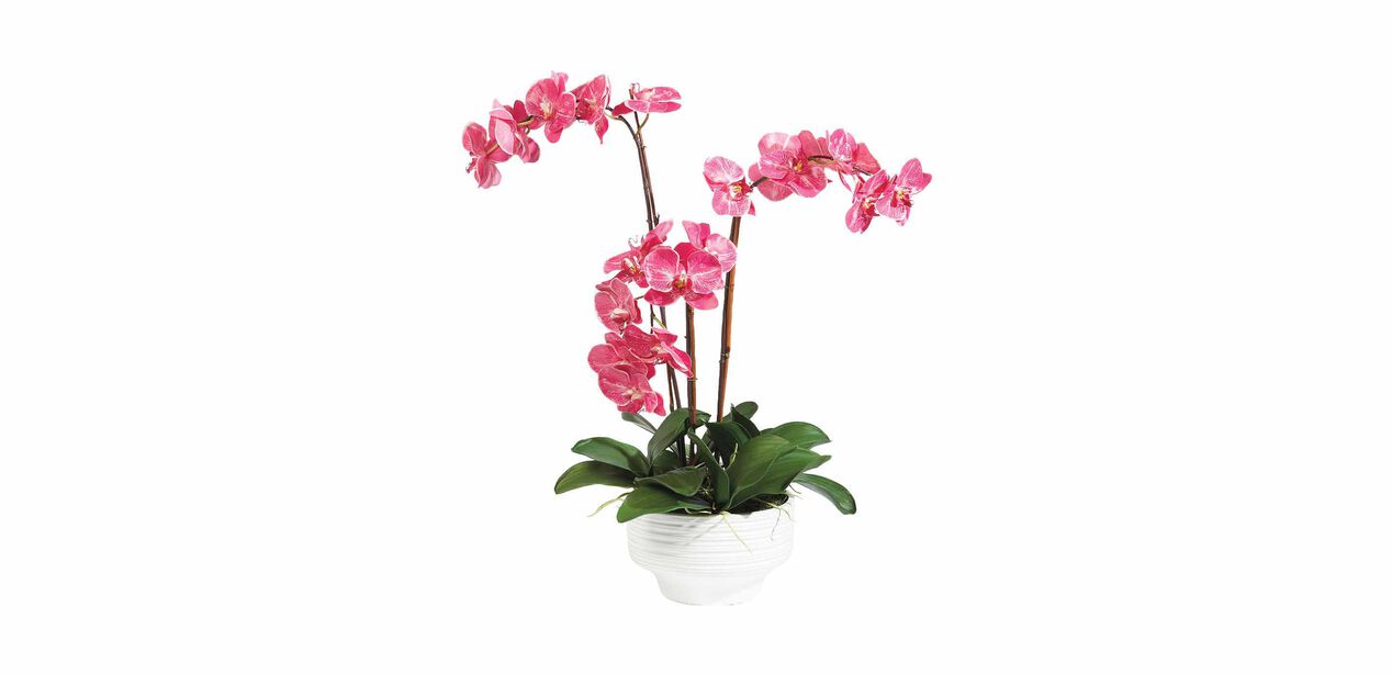 fuchsia orchids in ceramic pot florals trees ethan allen