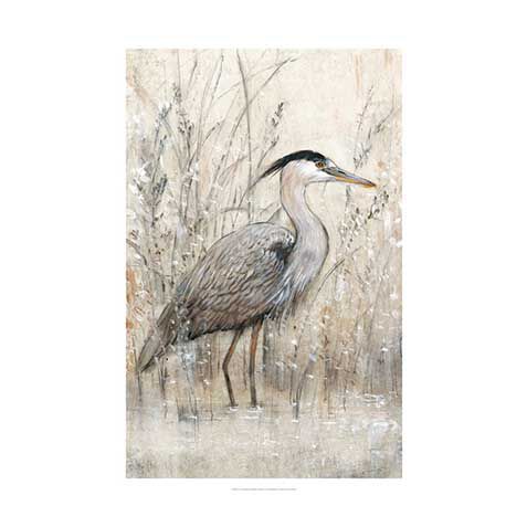 Hunt In Shallow Waters I image