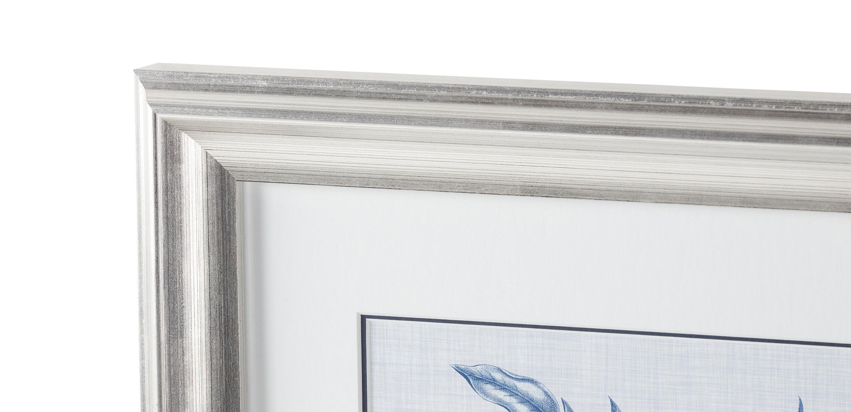 Navy and Linen Botanical III_1