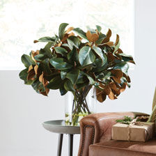 Magnolia Leaves Watergarden Product Tile Hover Image 446630