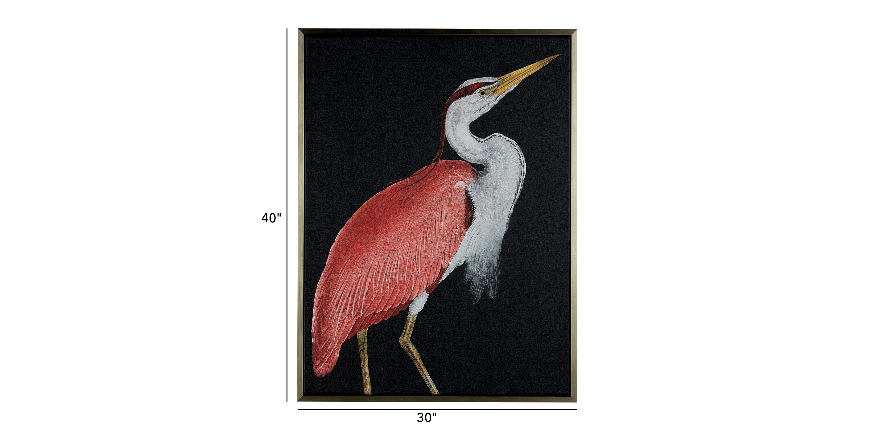Red Heron I_1