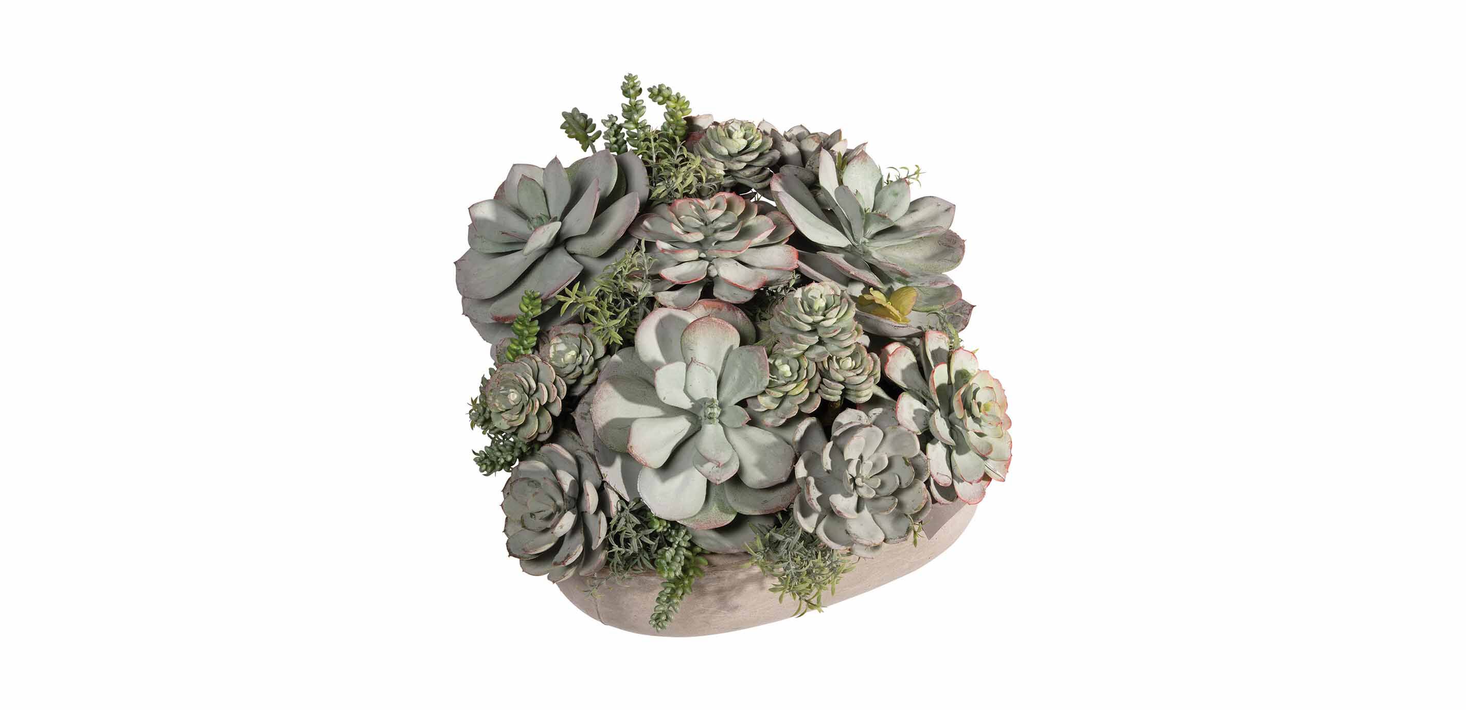 Mixed Succulents in Light Grey Cement Tray_1
