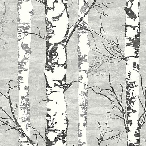 Still Birches Wall Mural image