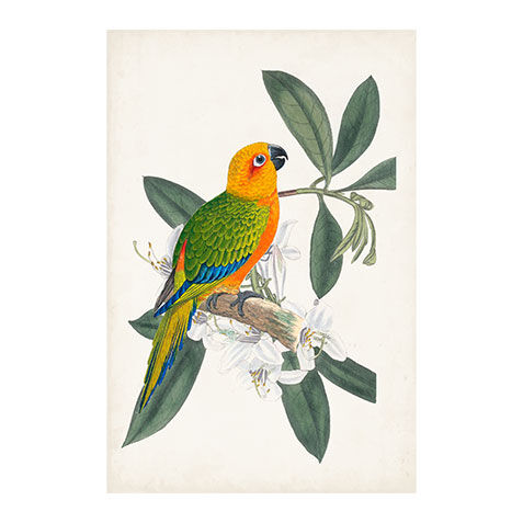 Tropical Bird & Flower I image