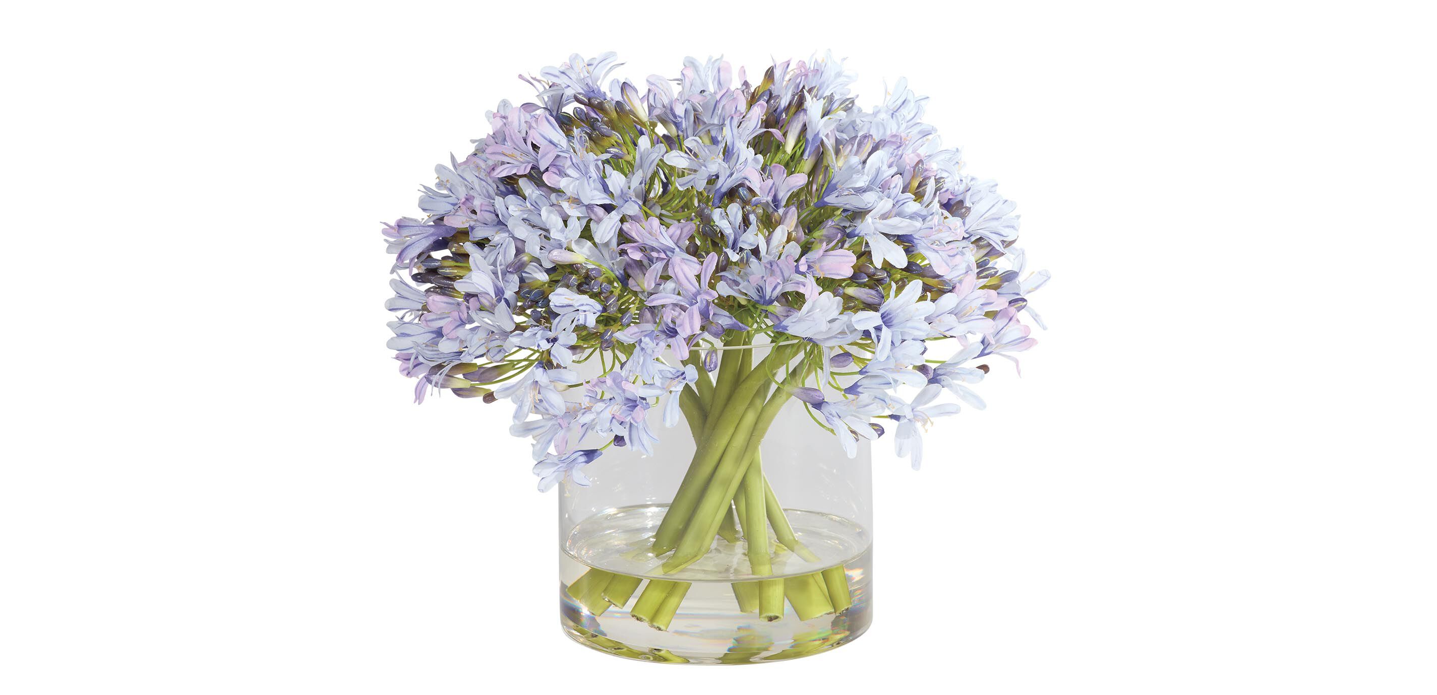 Blue Agapanthus Bouquet in Cylinder Vase_1