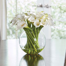 Calla Lilies in Vase Product Tile Hover Image 442211