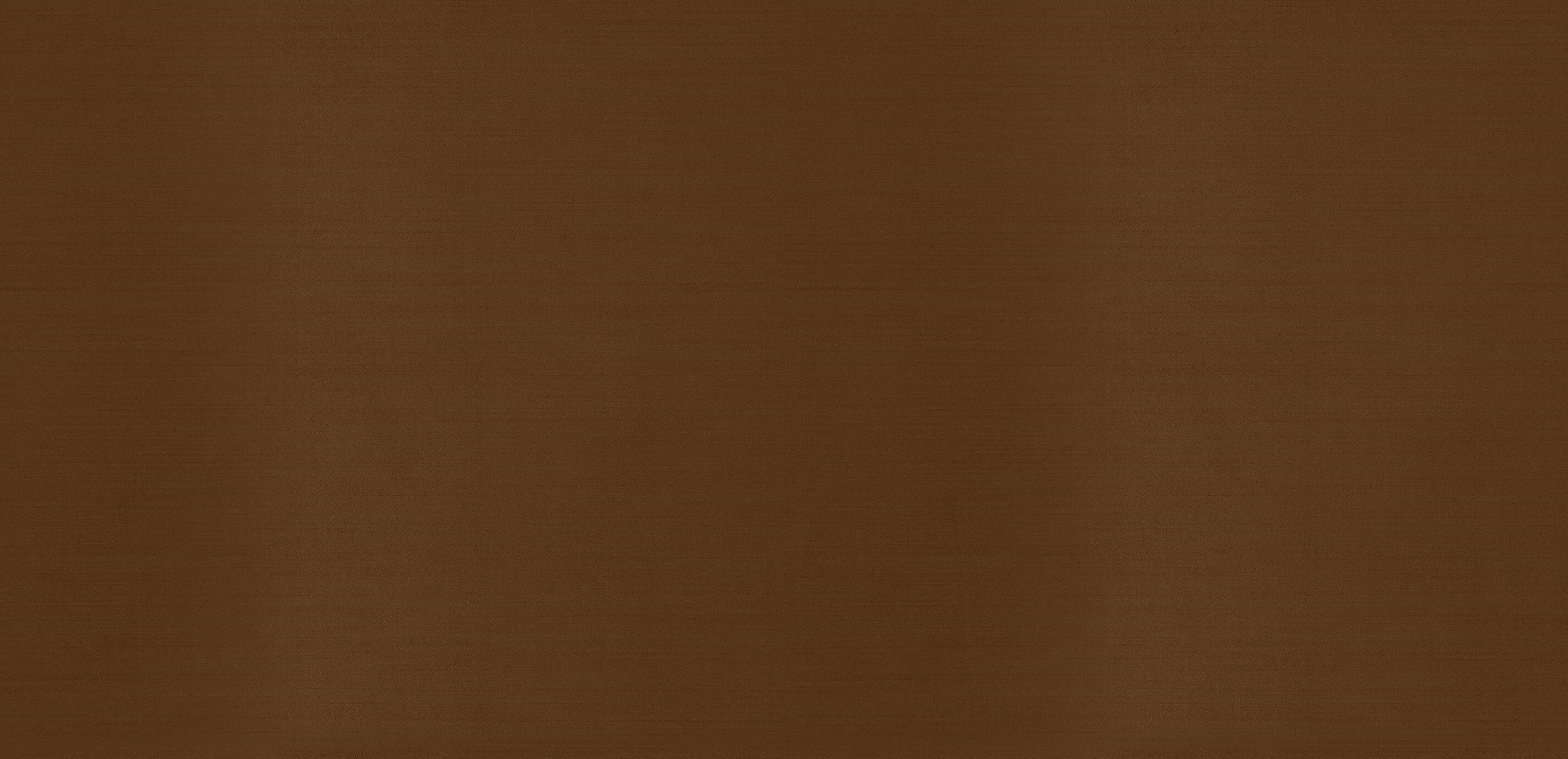 Sylvie Sienna Swatch