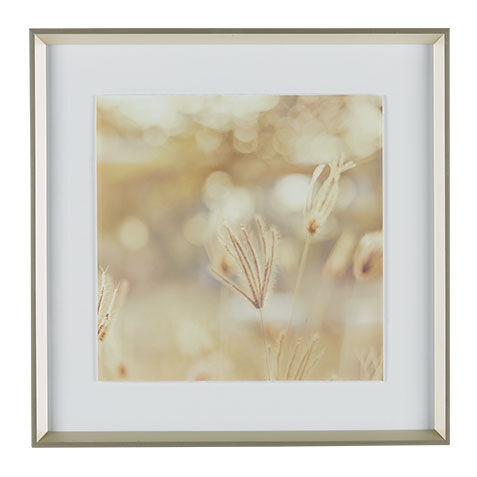 Natural Glow I image