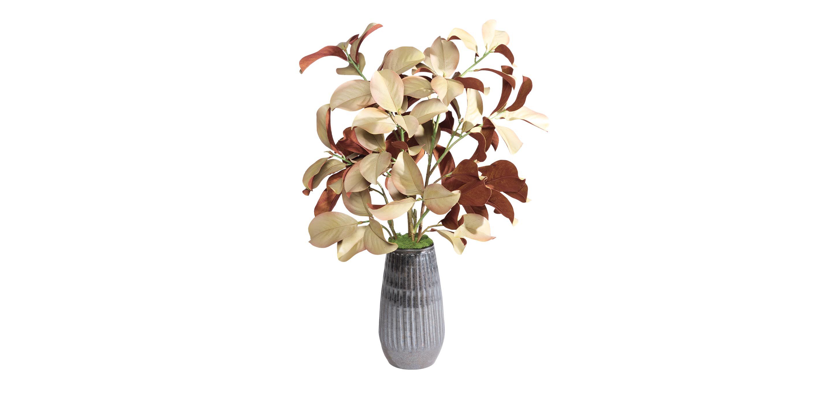 Natural Magnolia Arrangement