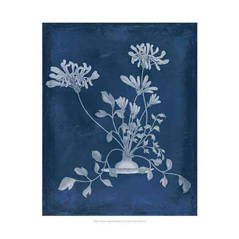 Botanical In Indigo II image