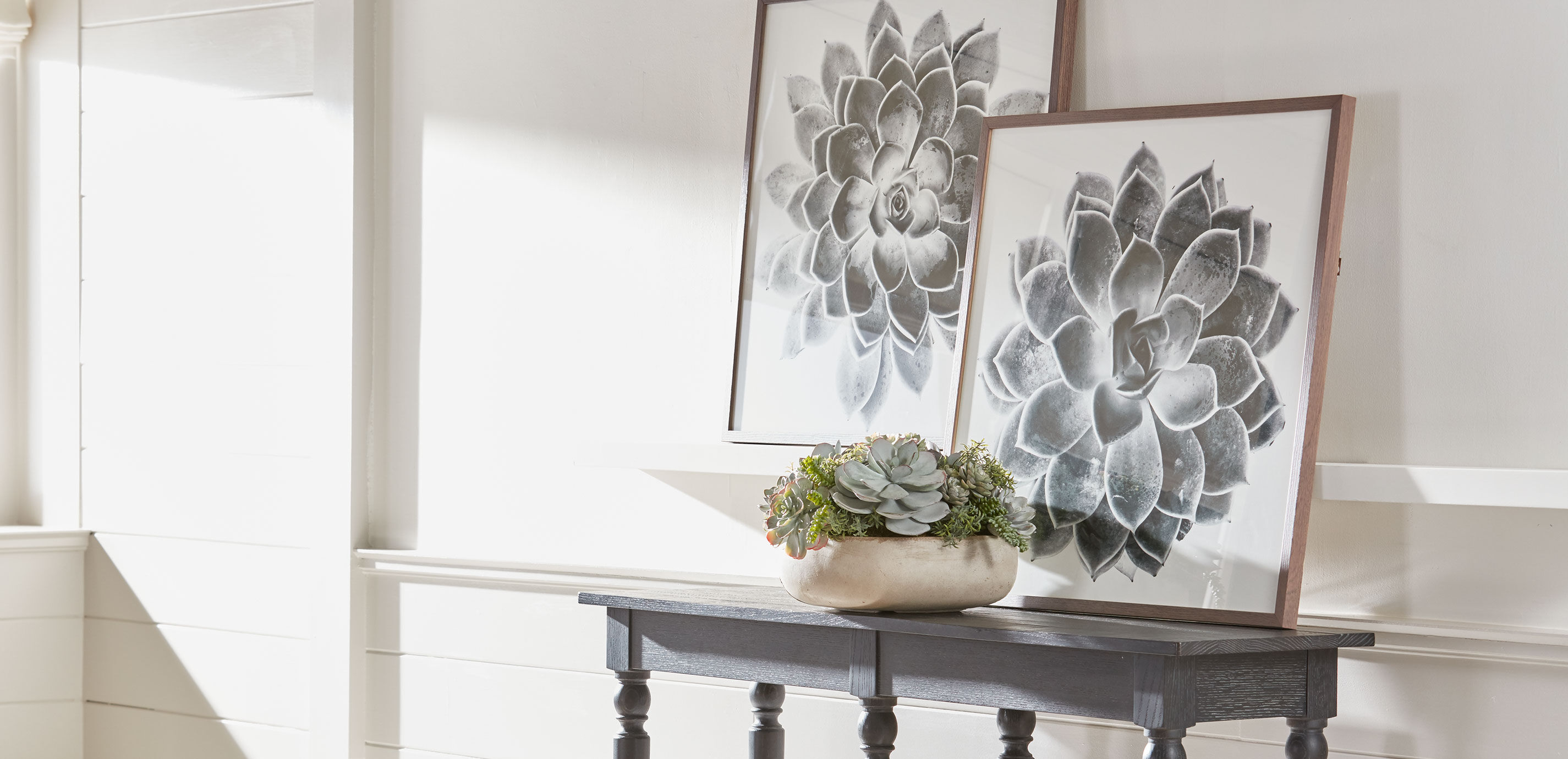 Succulent Study II_5