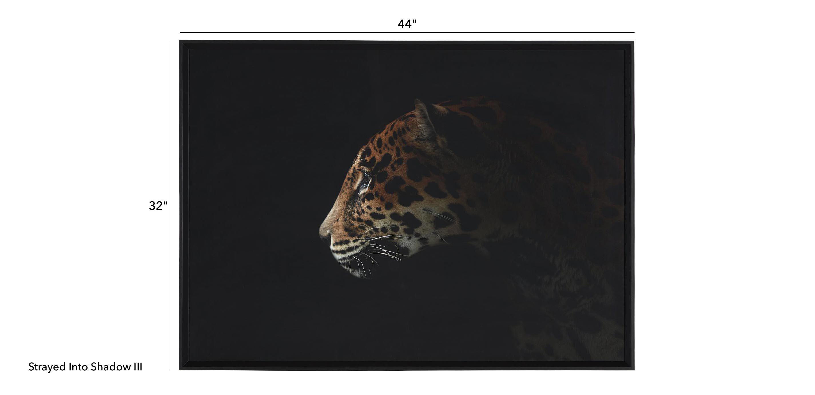 Strayed into Shadow III_1